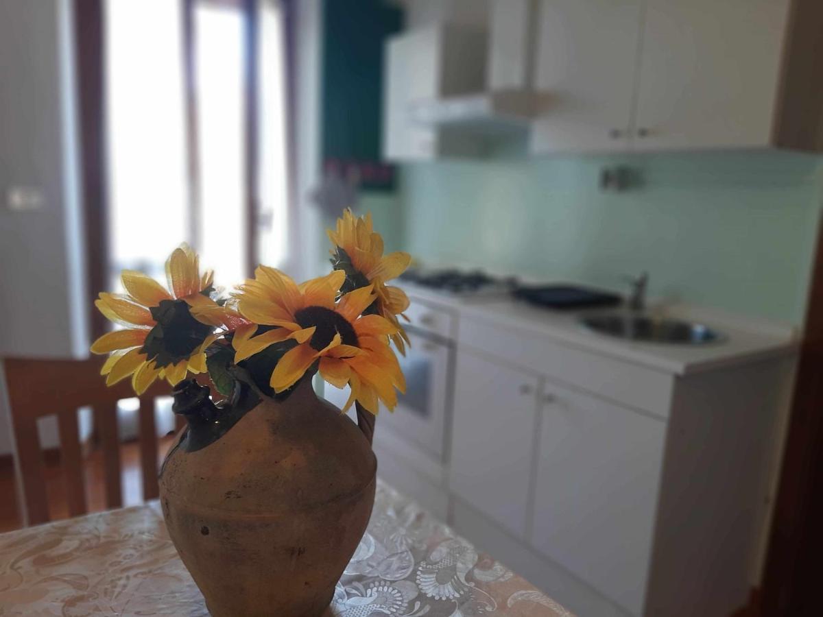 La Meriggia Agriturismo- Ampio Appartamento Con Terrazza Esclusiva Ancona Exterior foto