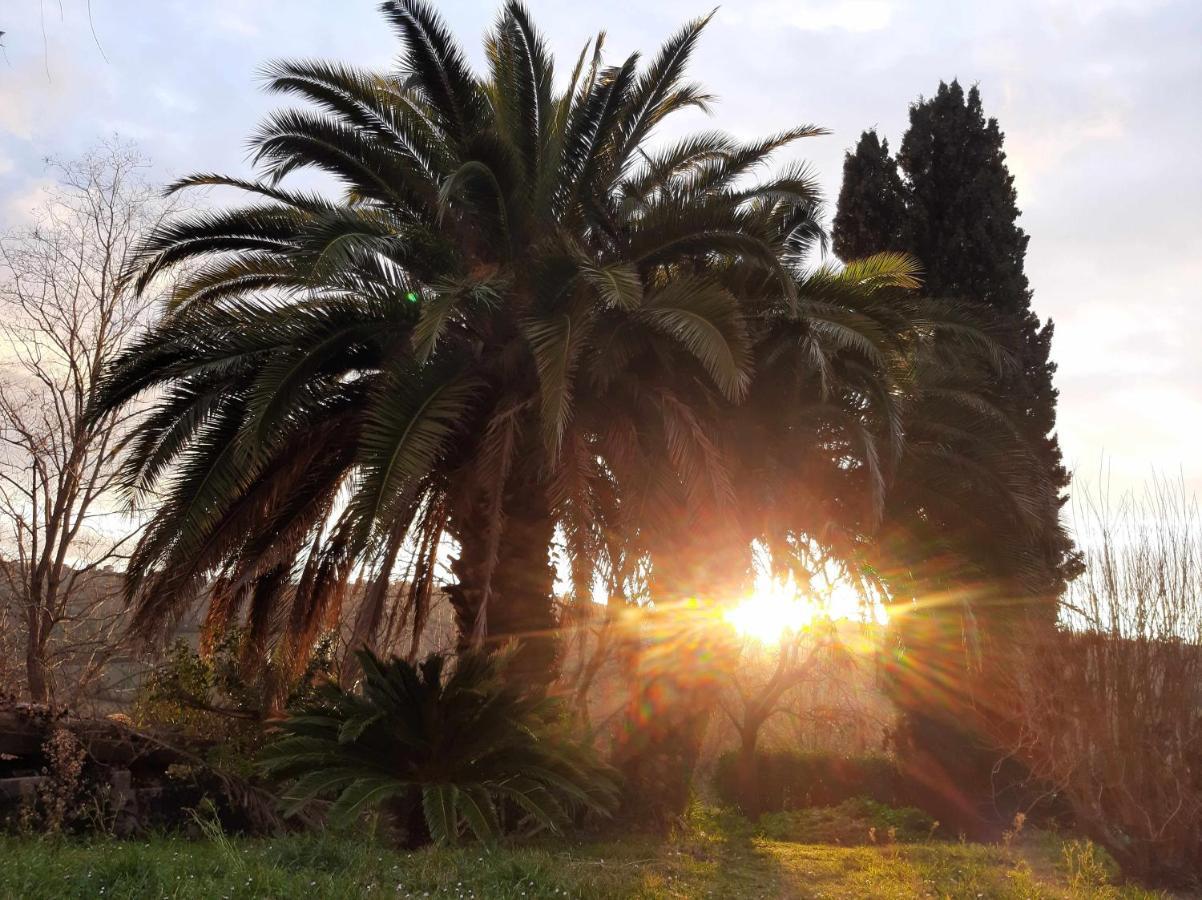 La Meriggia Agriturismo- Ampio Appartamento Con Terrazza Esclusiva Ancona Exterior foto