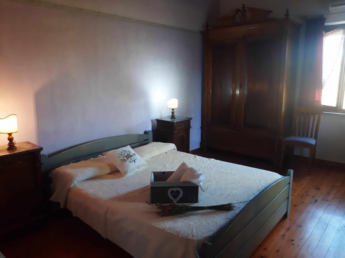 La Meriggia Agriturismo- Ampio Appartamento Con Terrazza Esclusiva Ancona Exterior foto