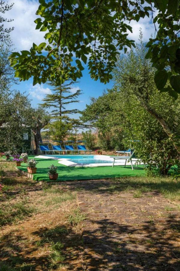 La Meriggia Agriturismo- Ampio Appartamento Con Terrazza Esclusiva Ancona Exterior foto